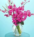The FTD� Morning Joy � Bouquet