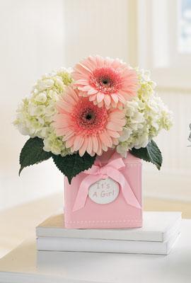 The FTD? Sweet Dreams Girl? Bouquet