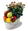 The FTD� Fruits & Flowers